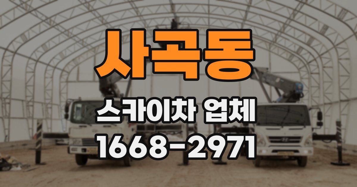 사곡동 스카이차 업체