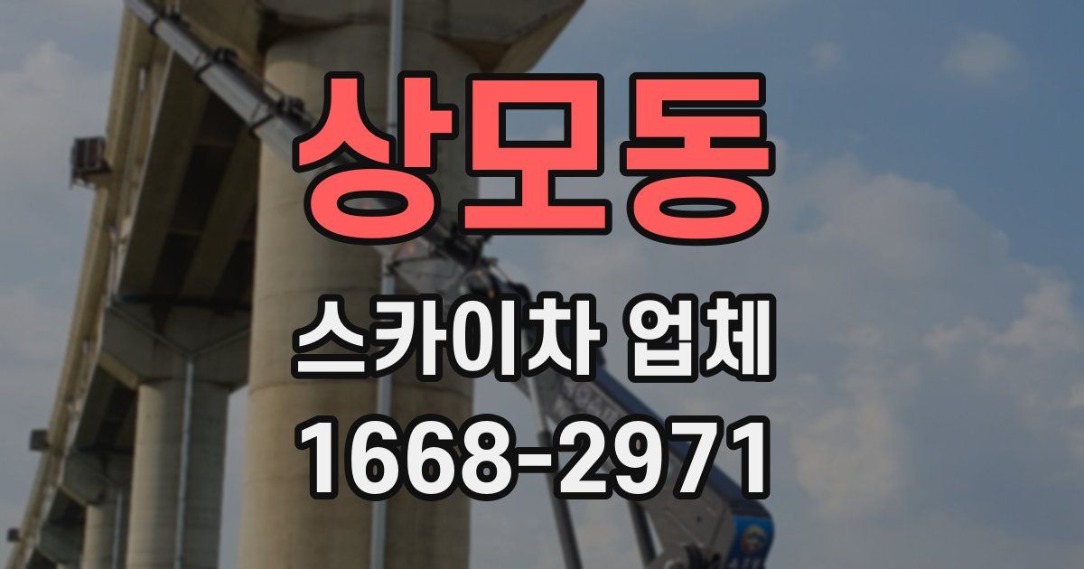 상모동 스카이차 업체