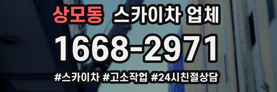 상모동 스카이차 업체
