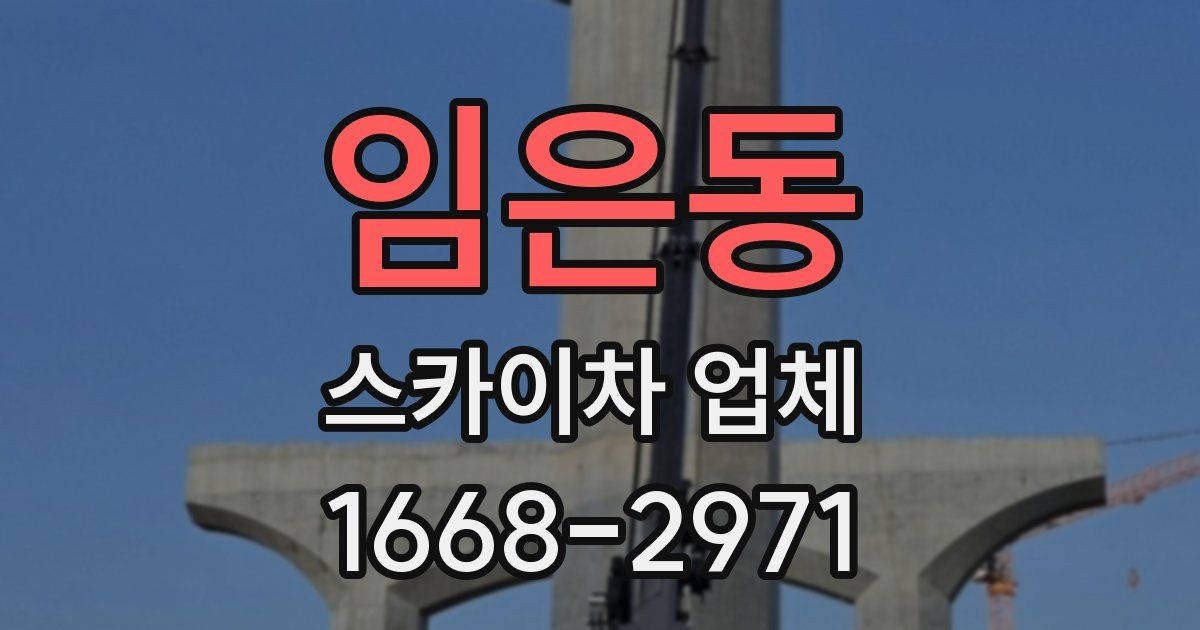 임은동 스카이차 업체