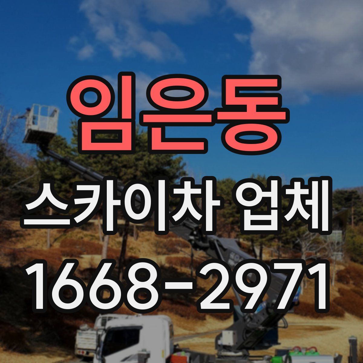 임은동 스카이차 업체