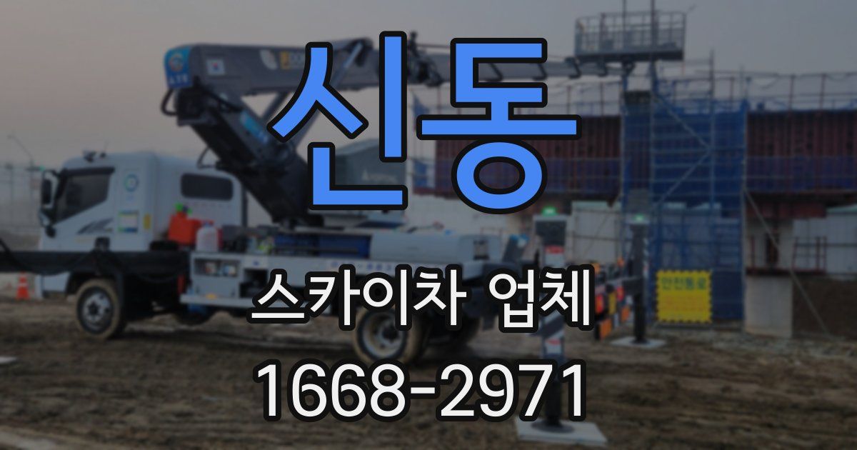 신동 스카이차 업체