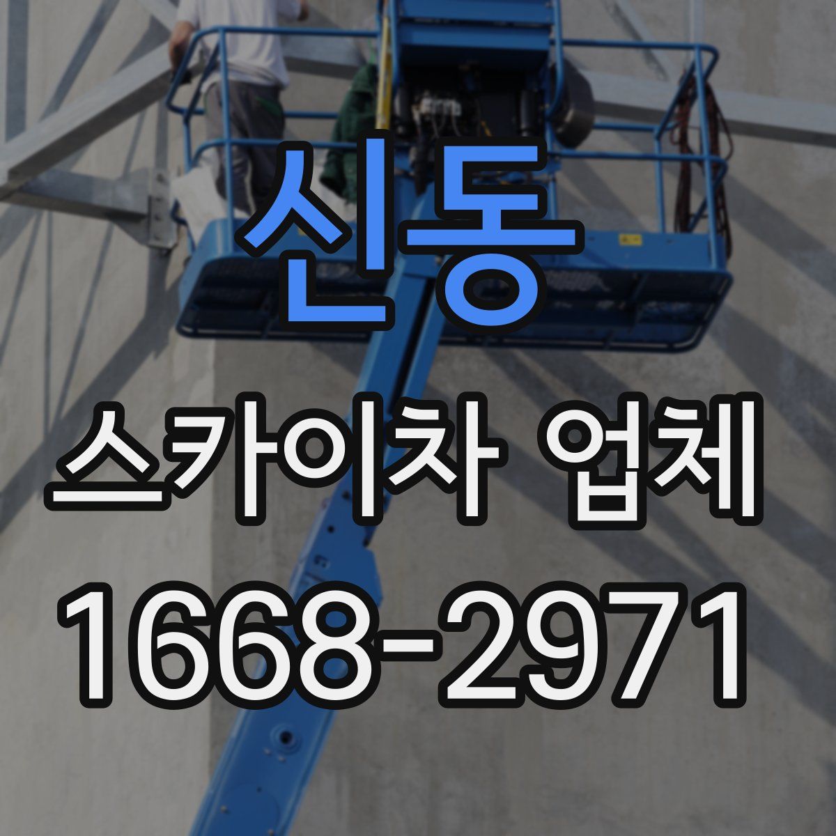신동 스카이차 업체