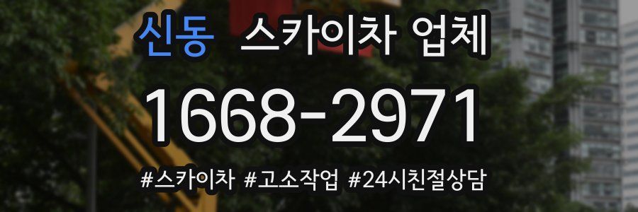 신동 스카이차 업체