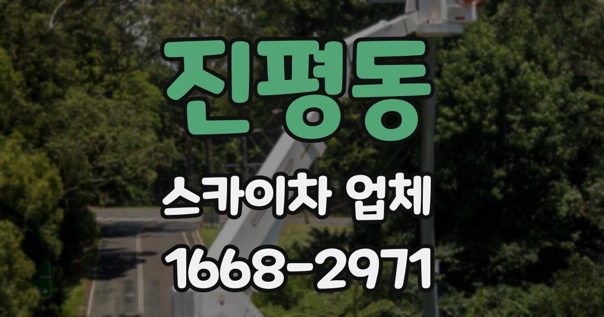 진평동 스카이차 업체