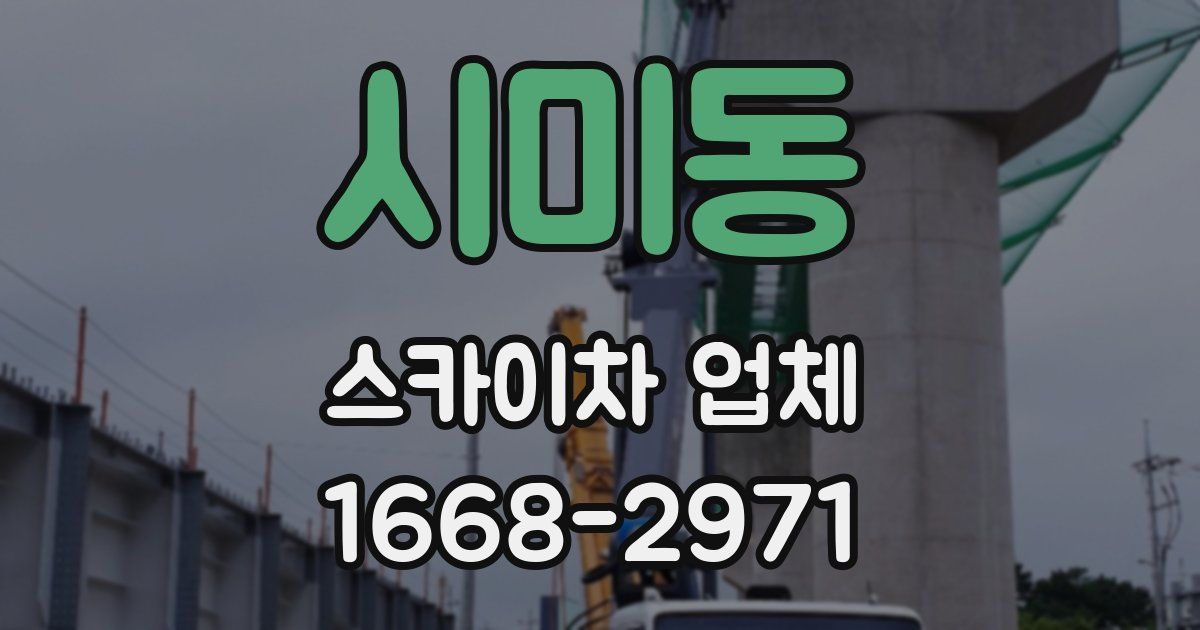 시미동 스카이차 업체