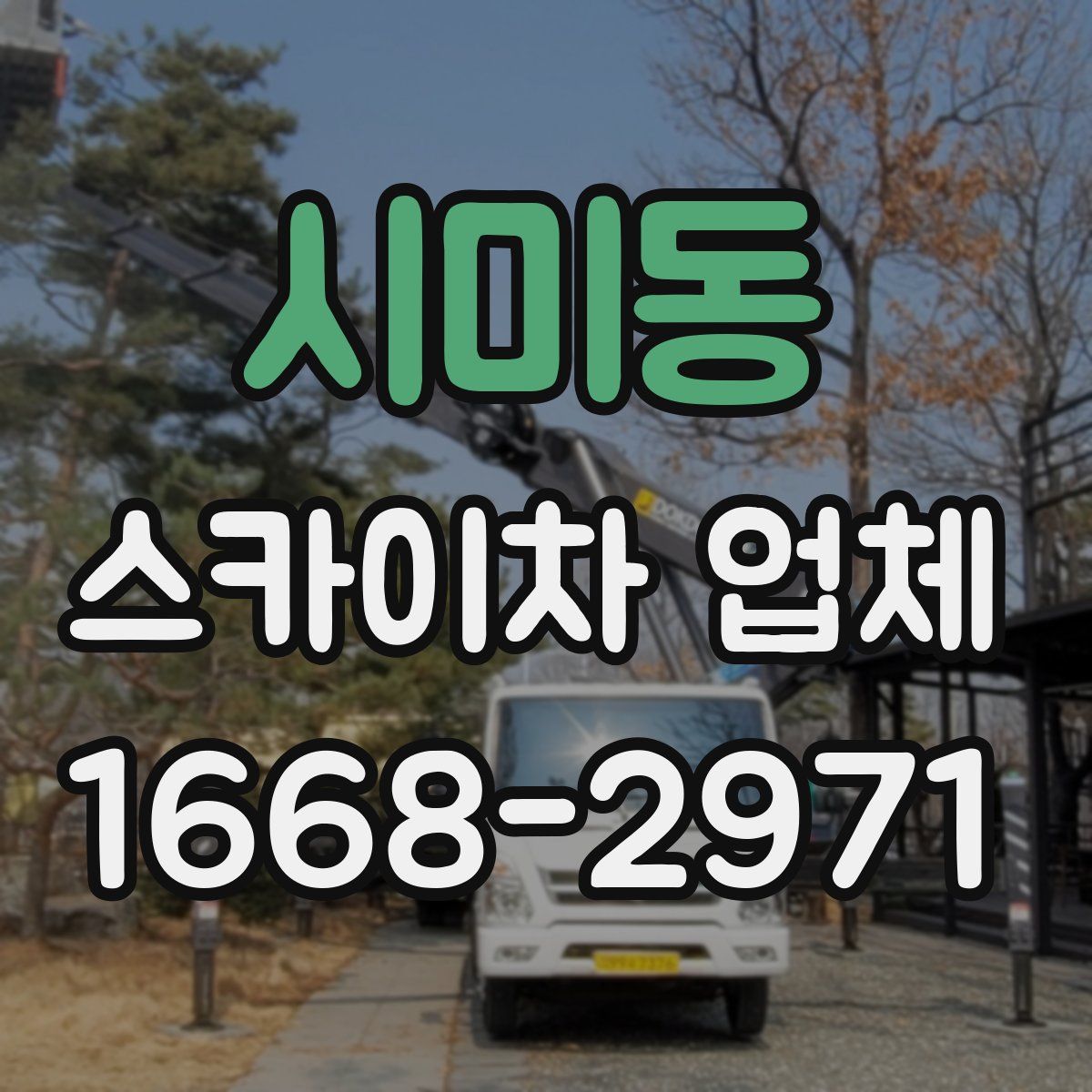 시미동 스카이차 업체