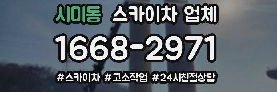 시미동 스카이차 업체