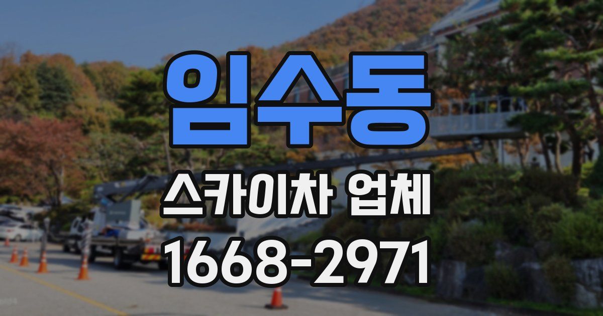 임수동 스카이차 업체