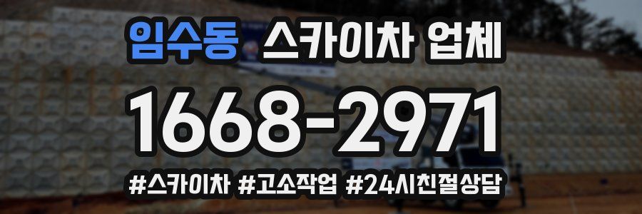 임수동 스카이차 업체