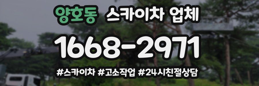 양호동 스카이차 업체