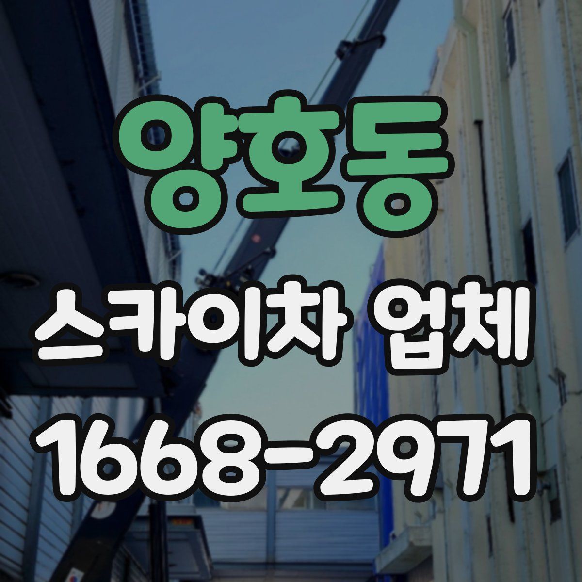 양호동 스카이차 업체