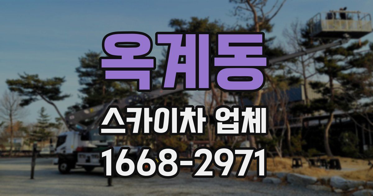 옥계동 스카이차 업체