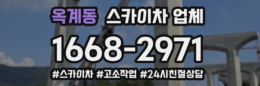 옥계동 스카이차 업체