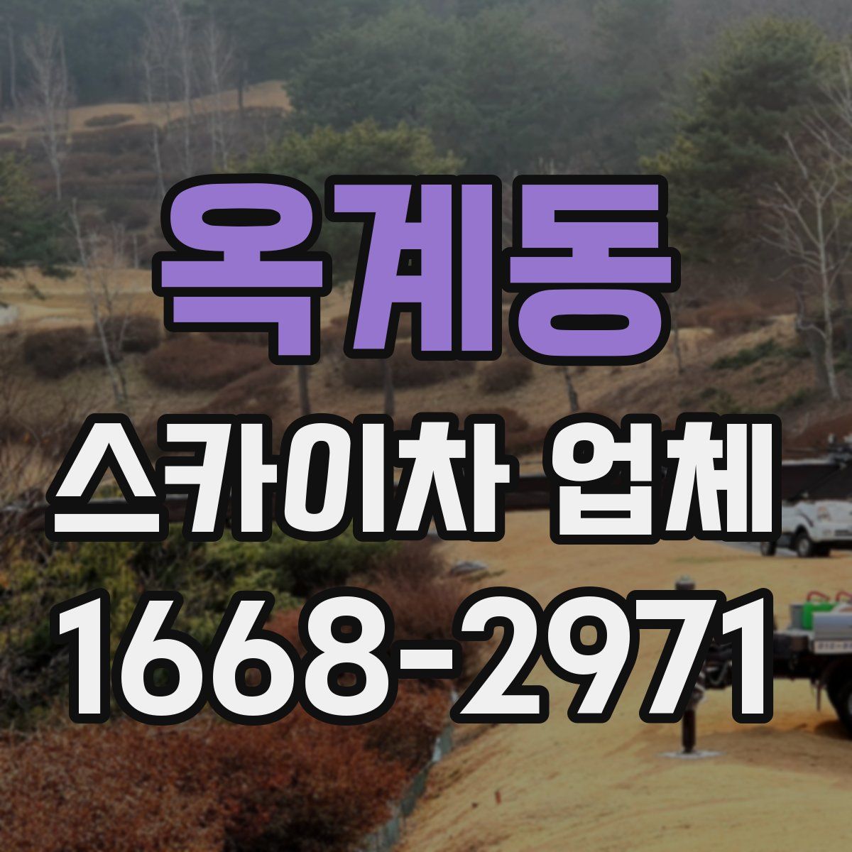 옥계동 스카이차 업체