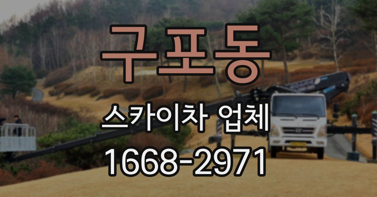 구포동 스카이차 업체