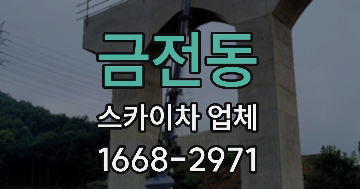 금전동 스카이차 업체