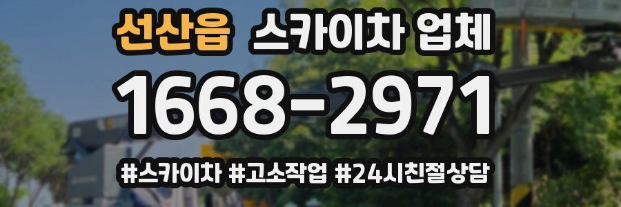 선산읍 스카이차 업체
