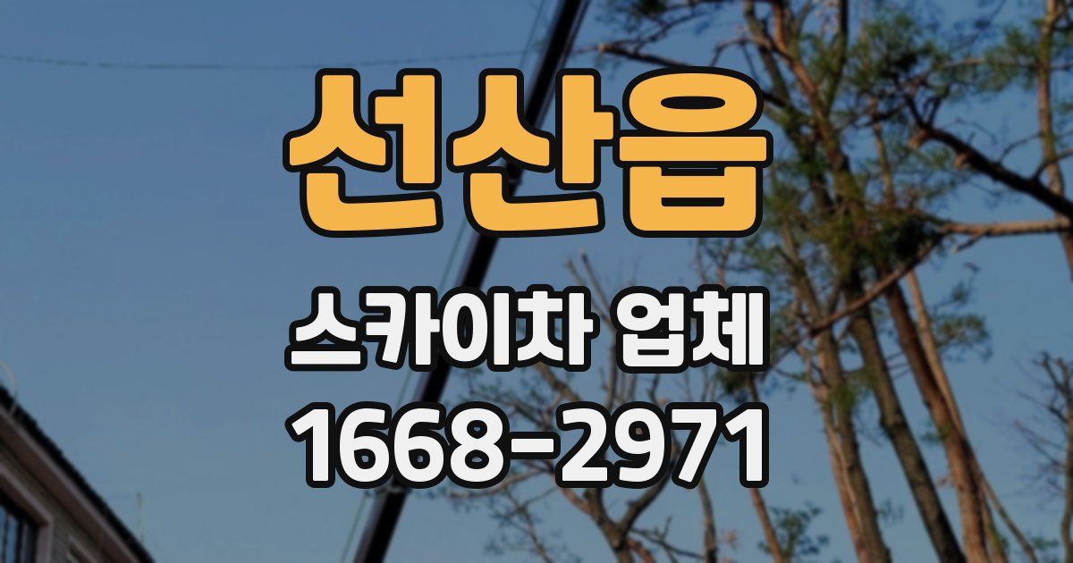 선산읍 스카이차 업체