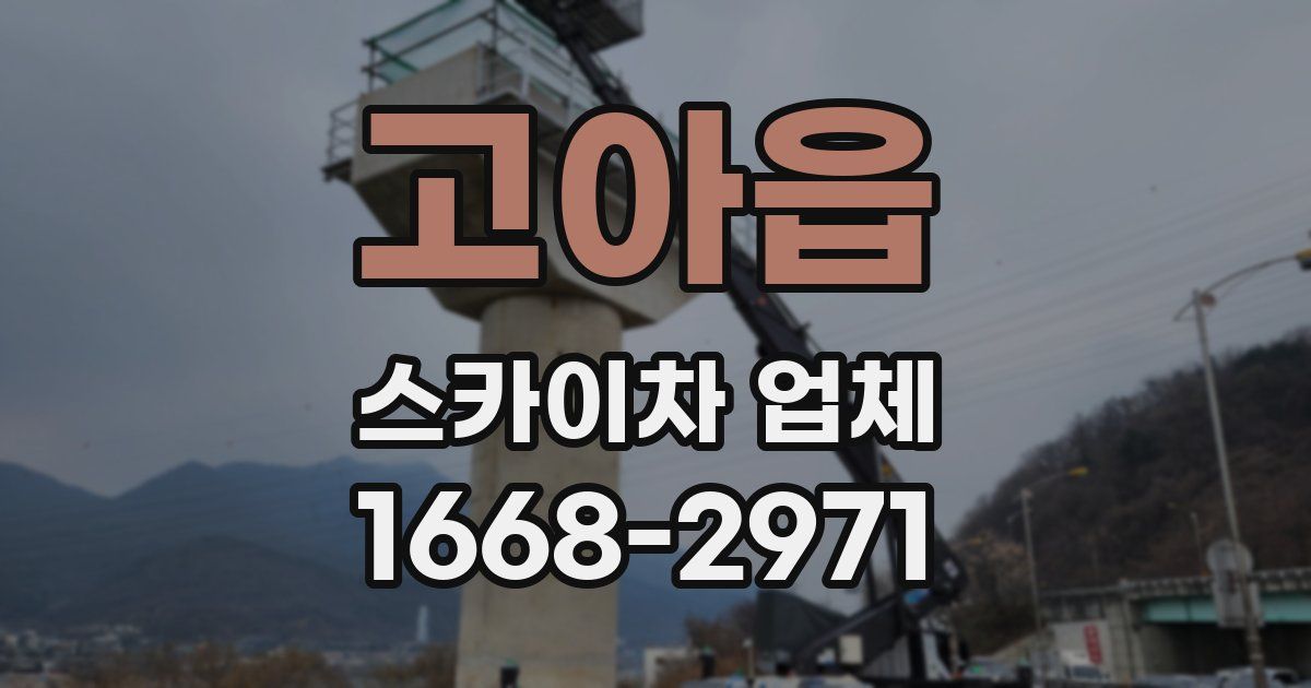 고아읍 스카이차 업체