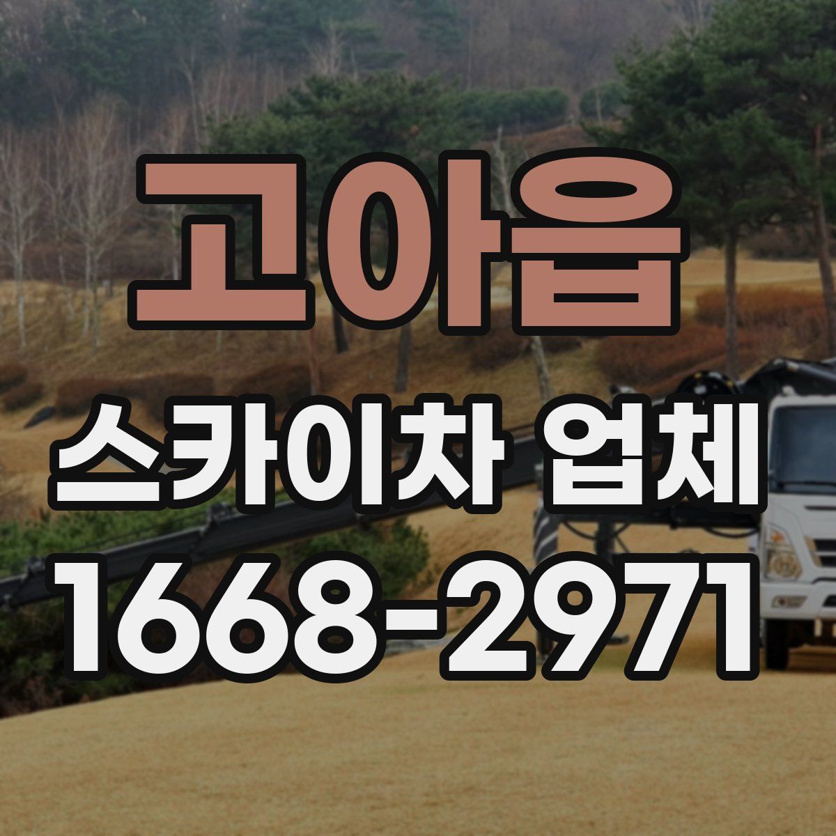 고아읍 스카이차 업체