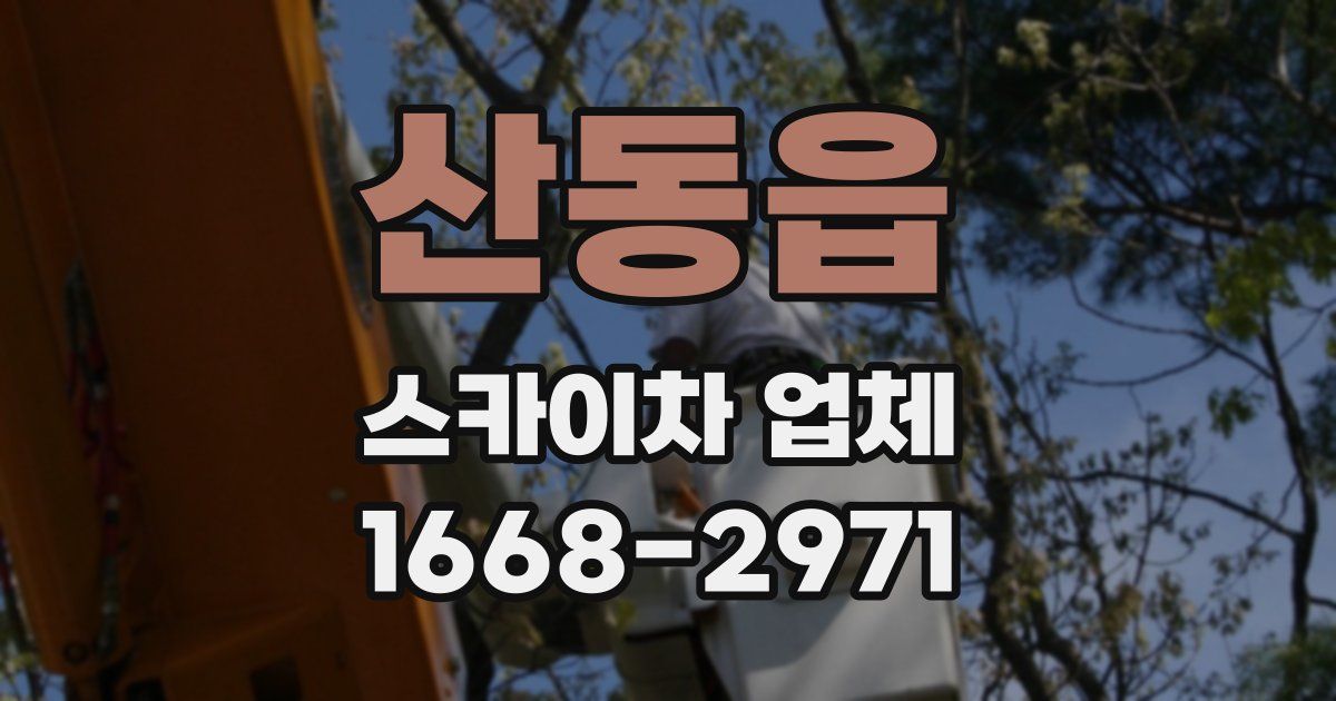 산동읍 스카이차 업체