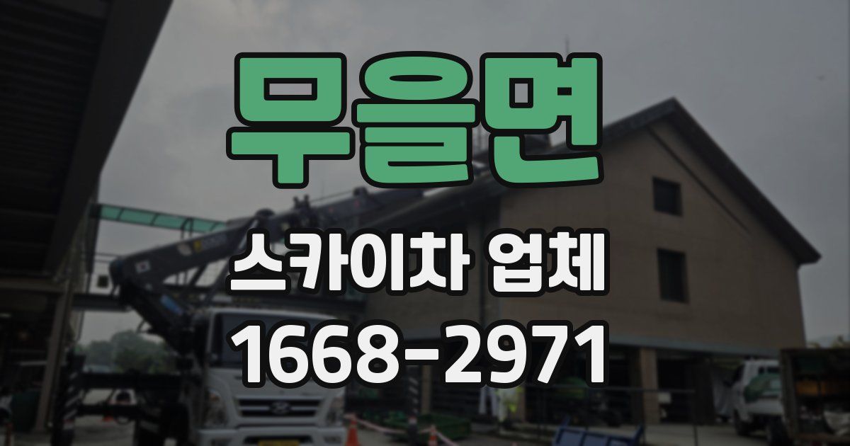 무을면 스카이차 업체
