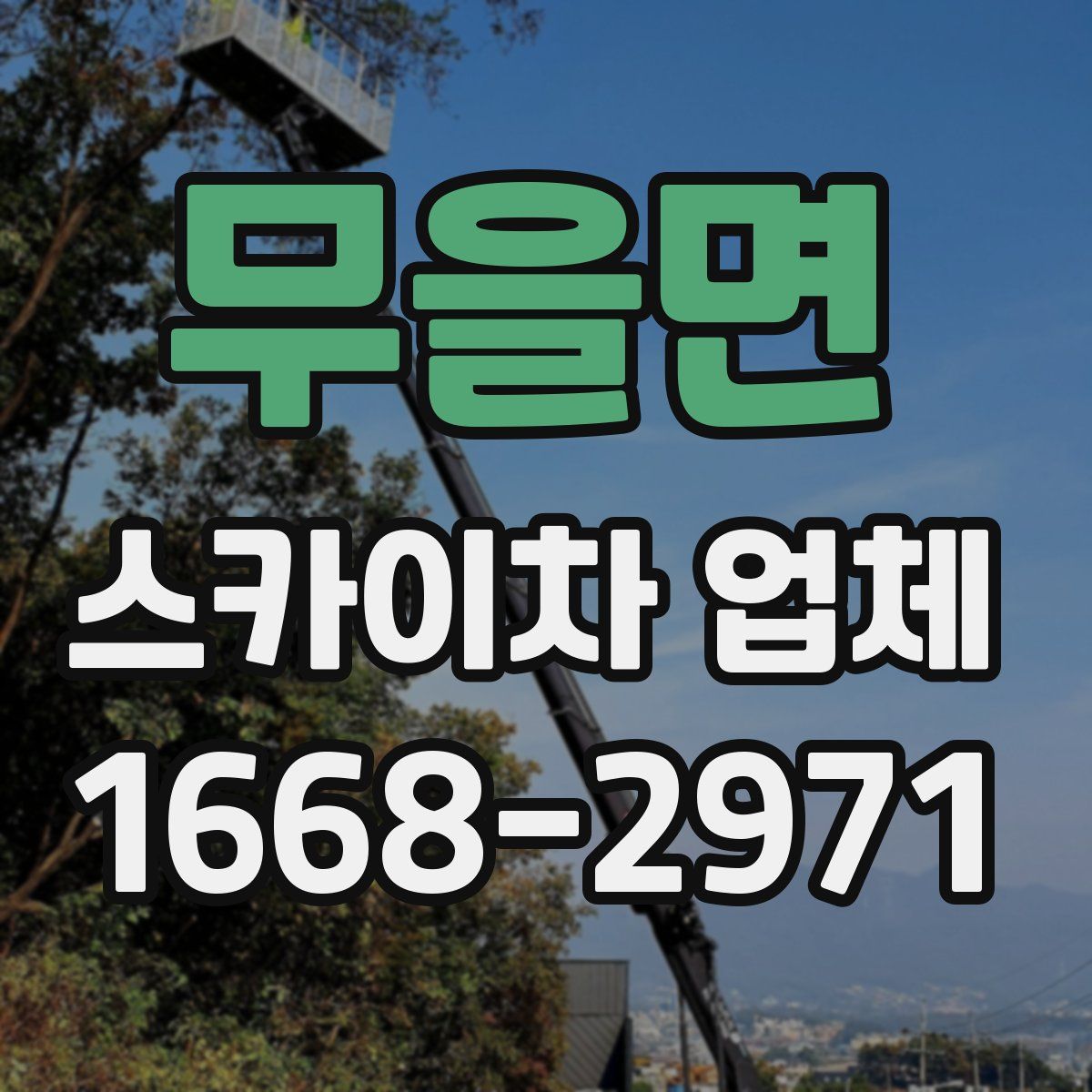 무을면 스카이차 업체