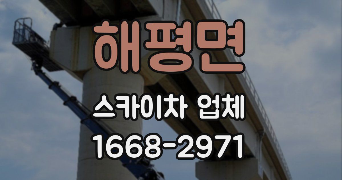 해평면 스카이차 업체