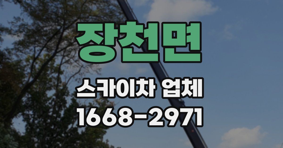 장천면 스카이차 업체