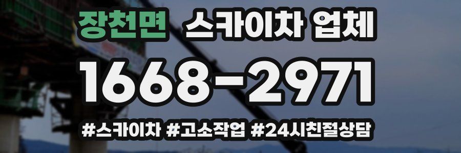 장천면 스카이차 업체