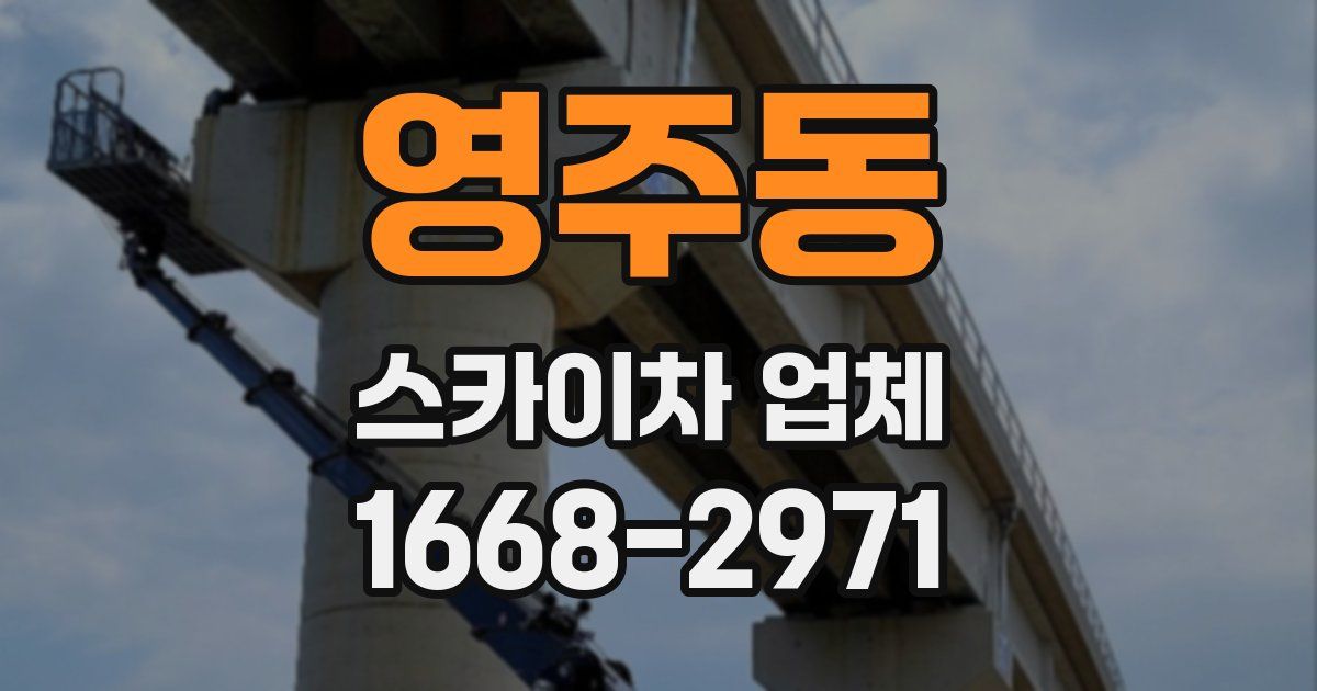 영주동 스카이차 업체