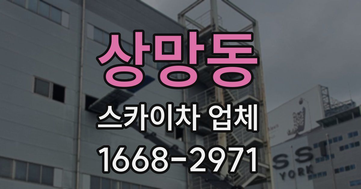 상망동 스카이차 업체