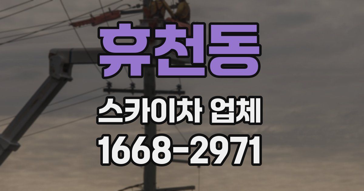 휴천동 스카이차 업체