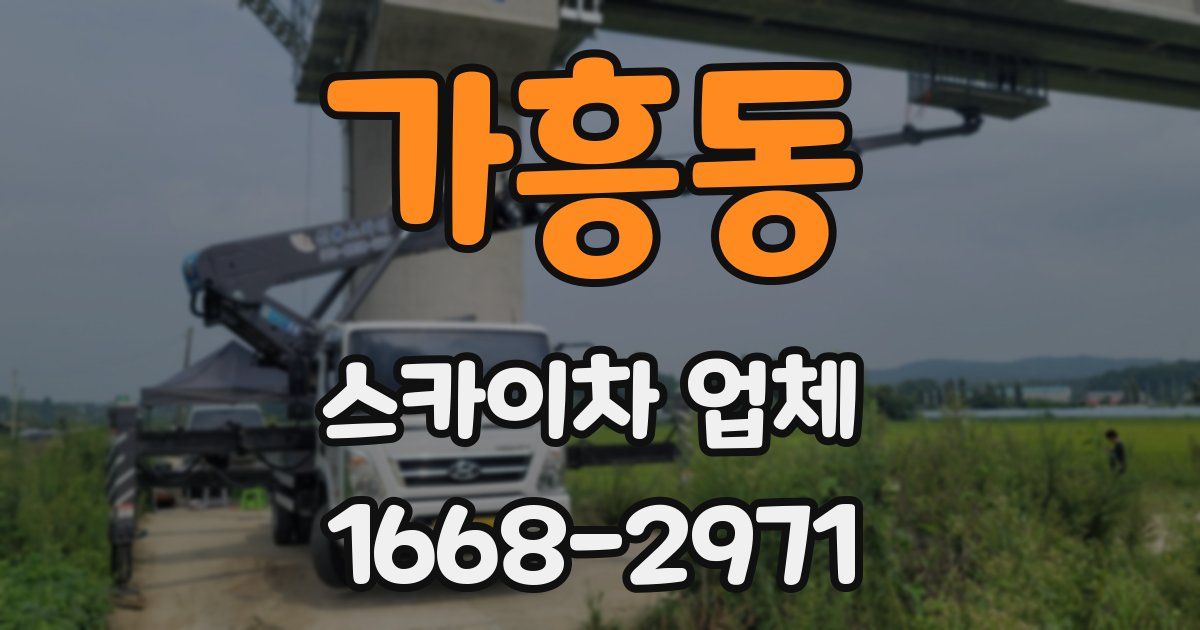 가흥동 스카이차 업체