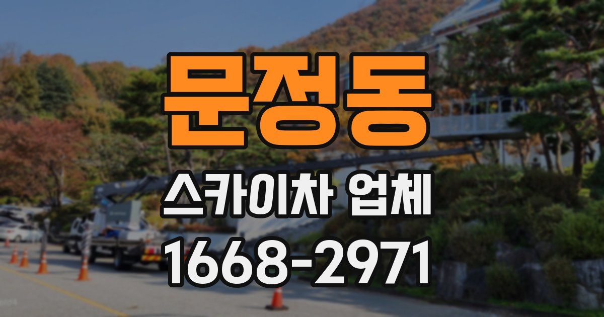 문정동 스카이차 업체