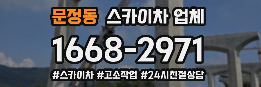 문정동 스카이차 업체
