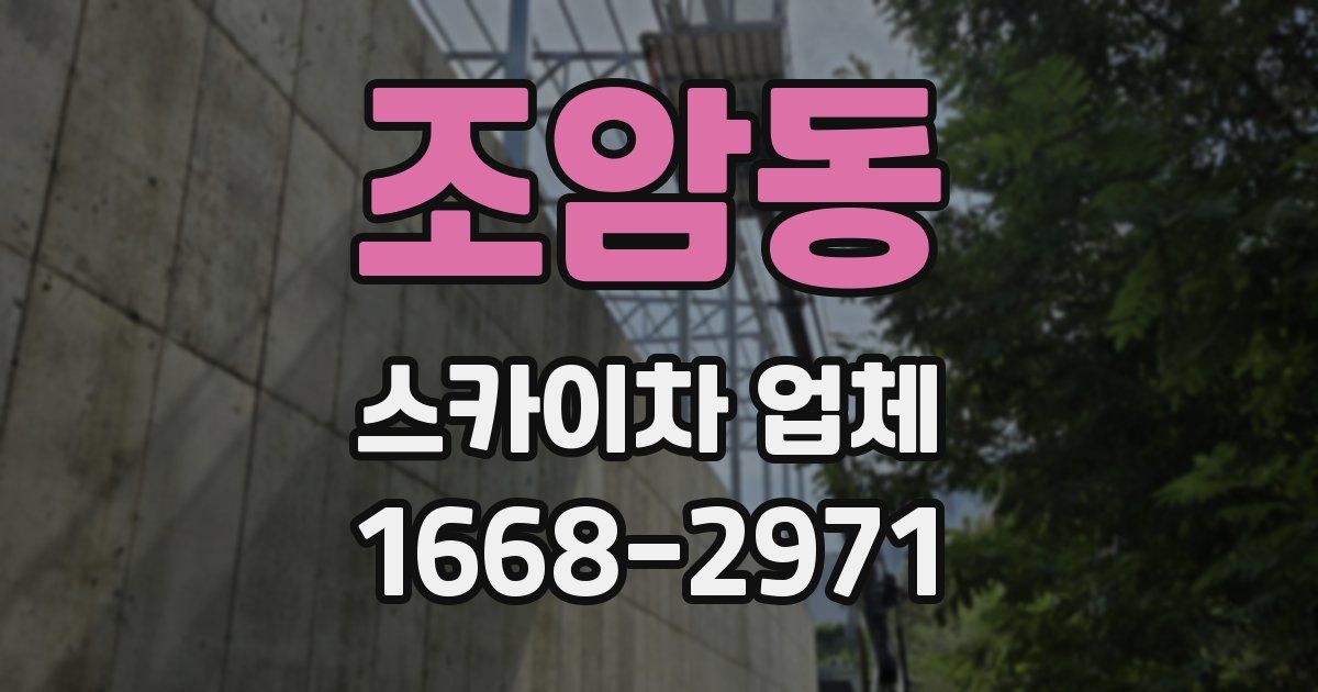 조암동 스카이차 업체