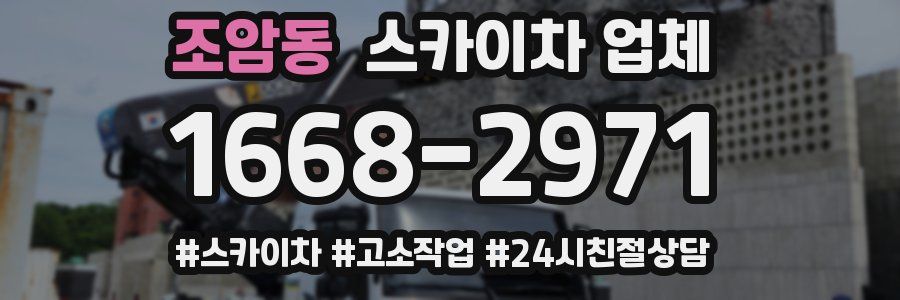 조암동 스카이차 업체