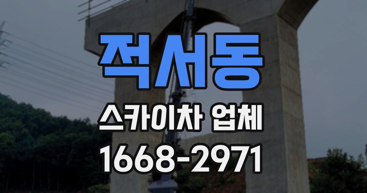적서동 스카이차 업체