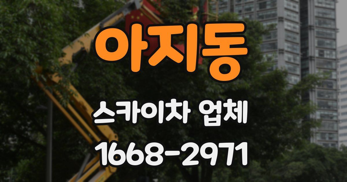 아지동 스카이차 업체