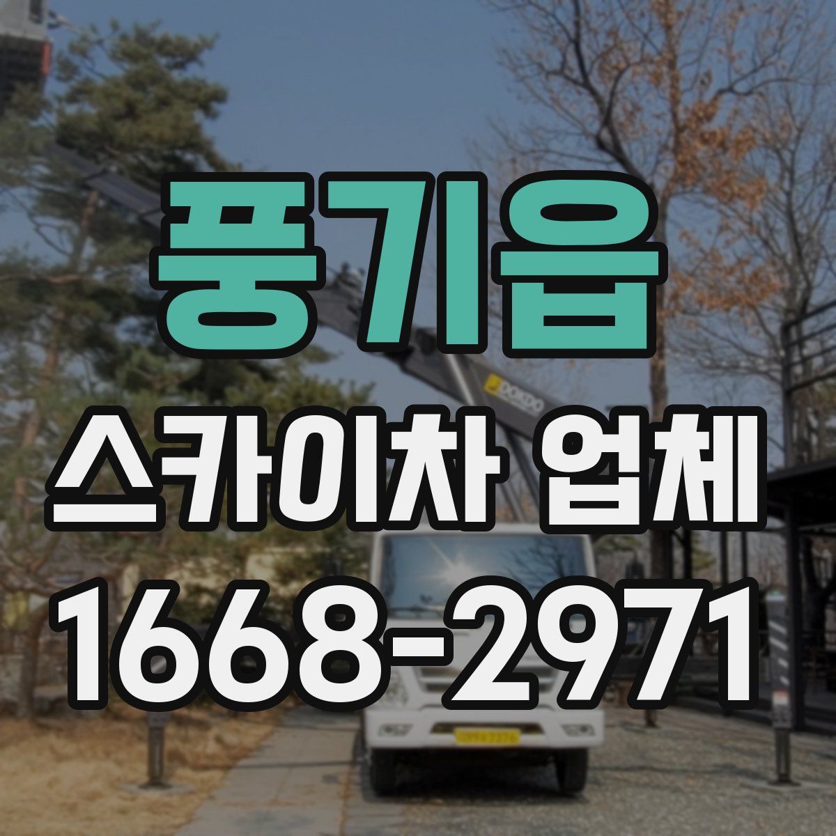 풍기읍 스카이차 업체