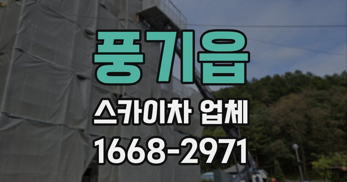 풍기읍 스카이차 업체