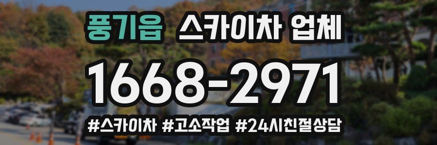 풍기읍 스카이차 업체