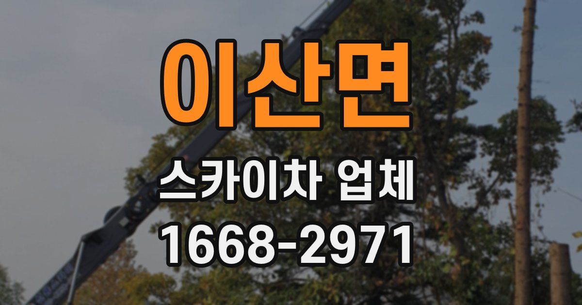 이산면 스카이차 업체