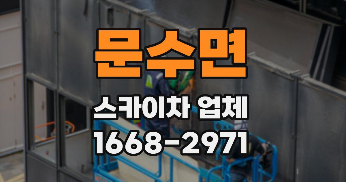 문수면 스카이차 업체