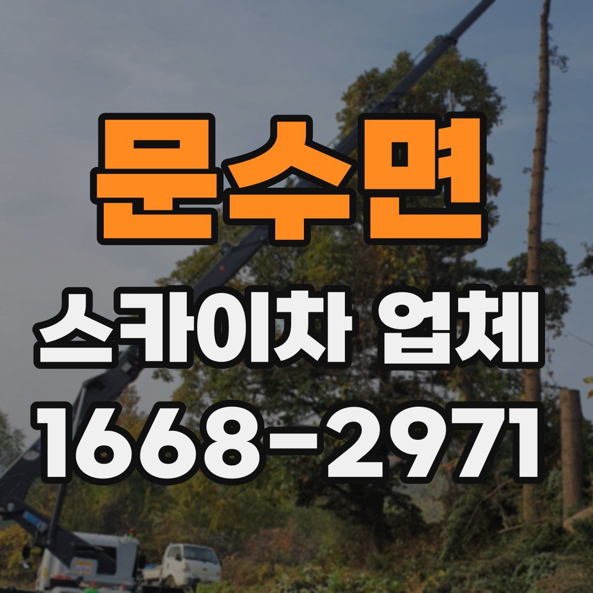 문수면 스카이차 업체