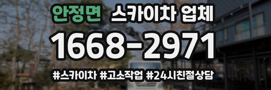안정면 스카이차 업체