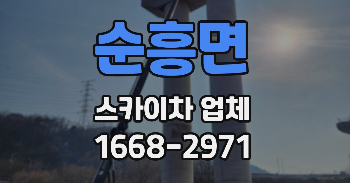 순흥면 스카이차 업체