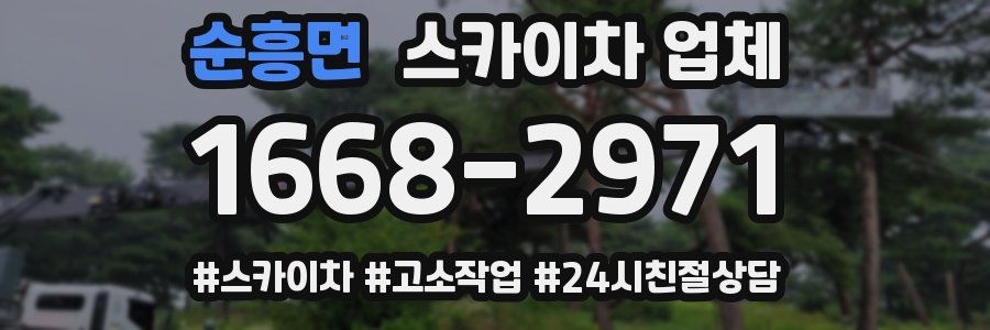 순흥면 스카이차 업체